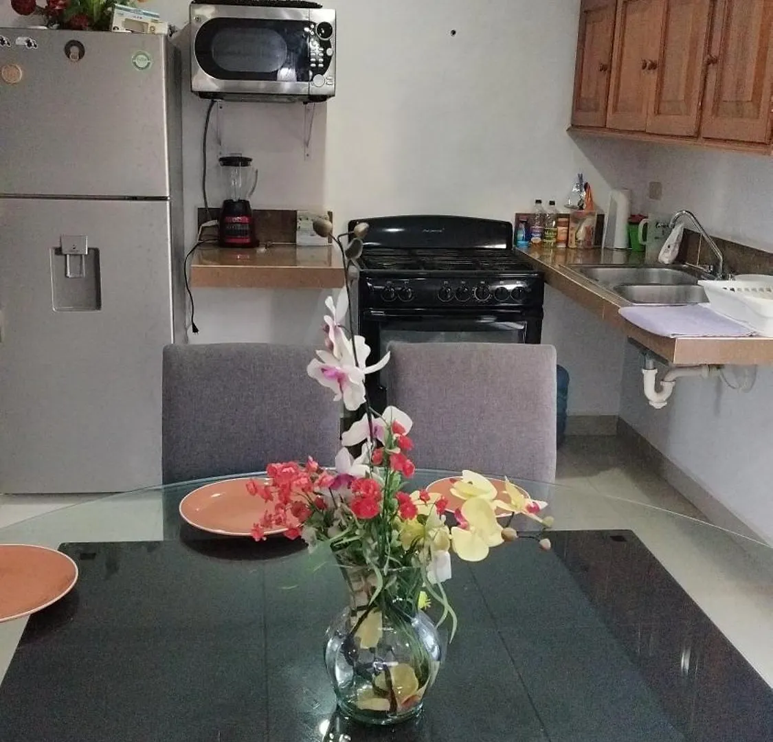 Casa Gacela 科苏梅尔 0*,